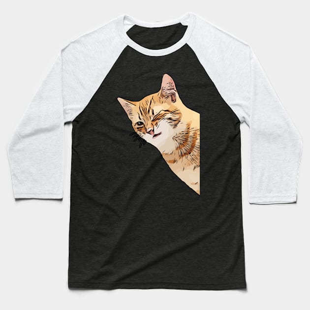 Mega Funny Cat Sneaks Winks Baseball T-Shirt by DIOTHENA